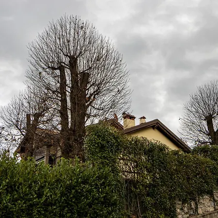 شقة Vista Alpi Sopra Bellagio - Marie Therese Magreglio